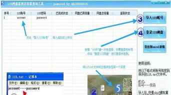 115網(wǎng)盤(pán)簽到及容量查詢(xún)工具 v1.1 提升網(wǎng)盤(pán)管理效率的必備助手