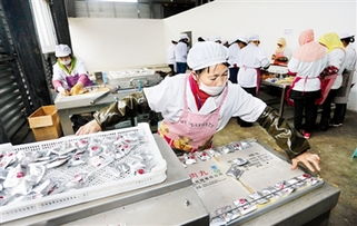 宜賓六大基地 產業引擎擎動經濟高質量發展
